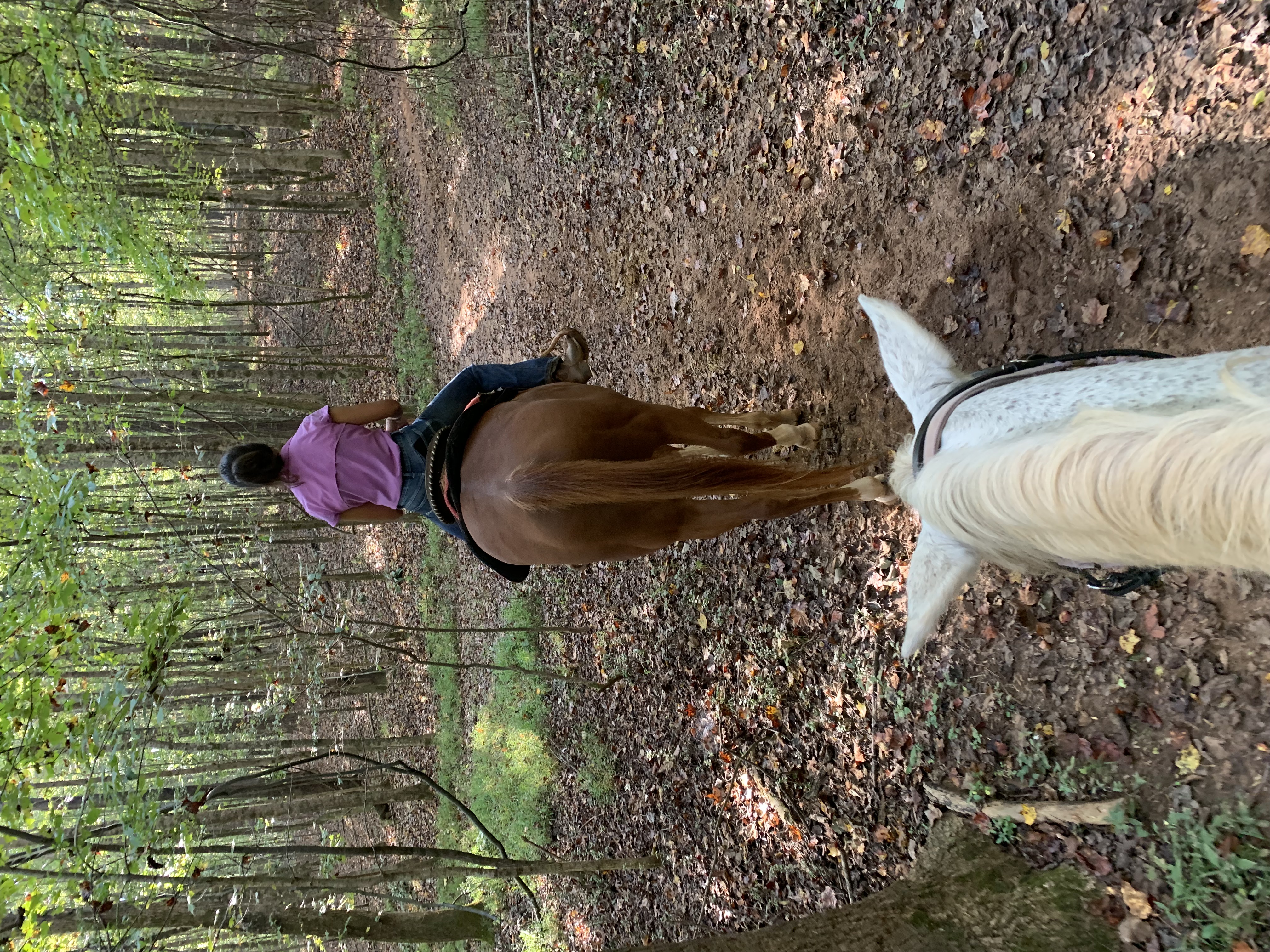 ./2021/07 - Southern Cross/IMG_5522.JPG